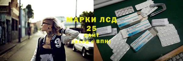 шишки Белоозёрский