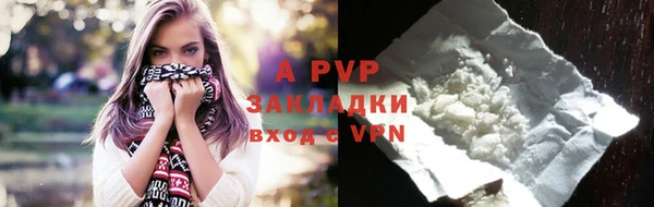 шишки Белоозёрский