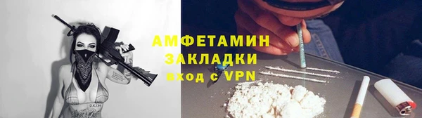 шишки Белоозёрский
