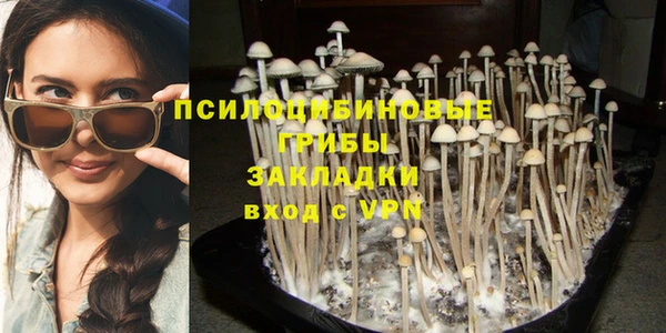 шишки Белоозёрский