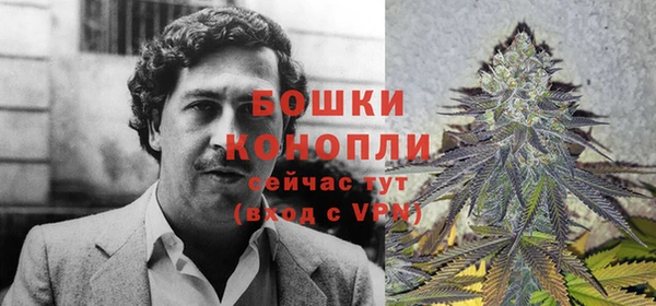 шишки Белоозёрский