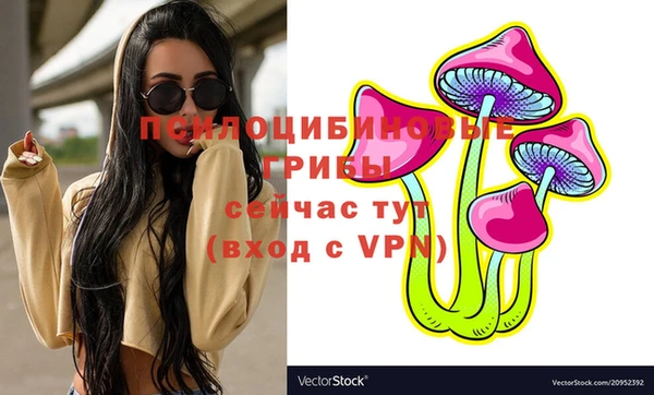 шишки Белоозёрский