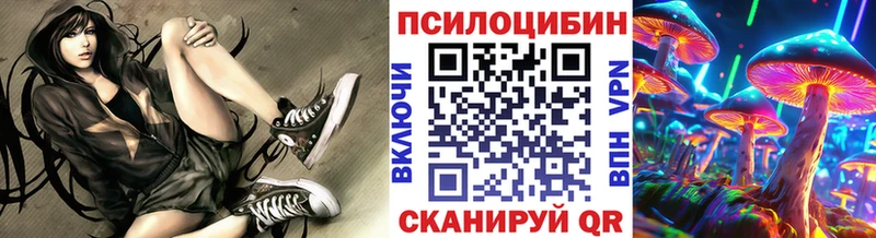 Купить  Ермолино  Псилоцибиновые грибы Cubensis 